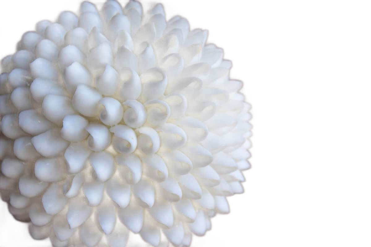White Bubble Seashell Ball, Made in the Philippines