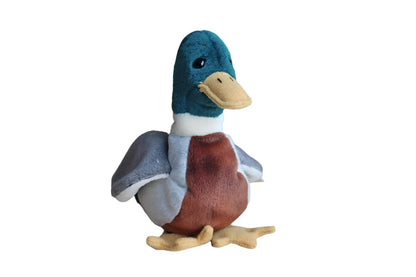 Ty Inc. (Illinois, USA) 1997 Jake the Mallard Beanie Baby