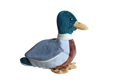 Ty Inc. (Illinois, USA) 1997 Jake the Mallard Beanie Baby