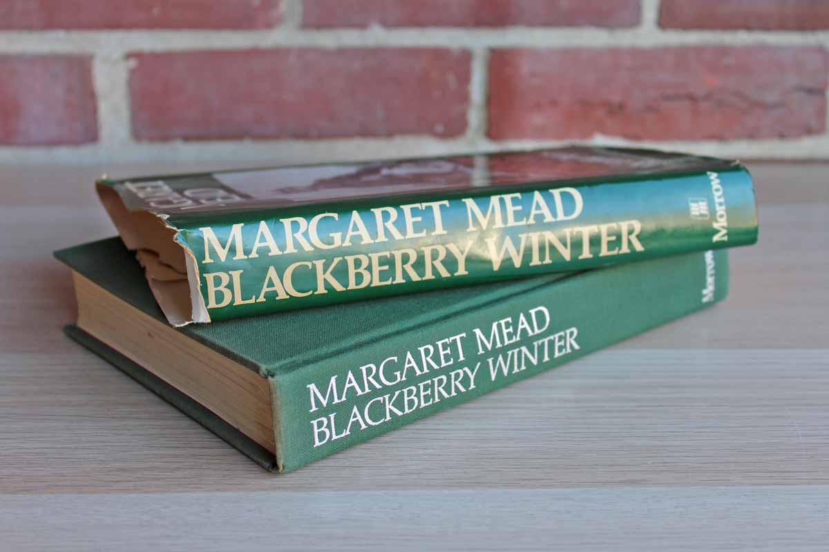 Blackberry Winter:  My Early Years by Margaret Mead