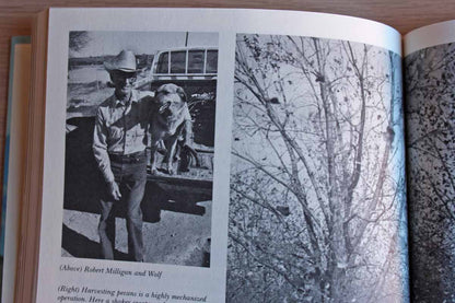Born to the Land:  An American Portrait by Brent Ashabranner
