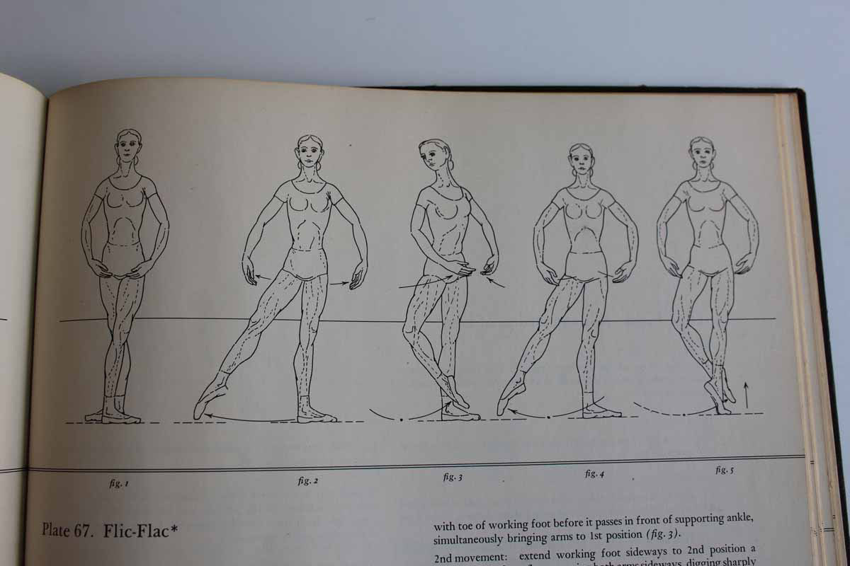The Classic Ballet Basic Technique and Terminology