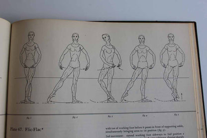 The Classic Ballet Basic Technique and Terminology