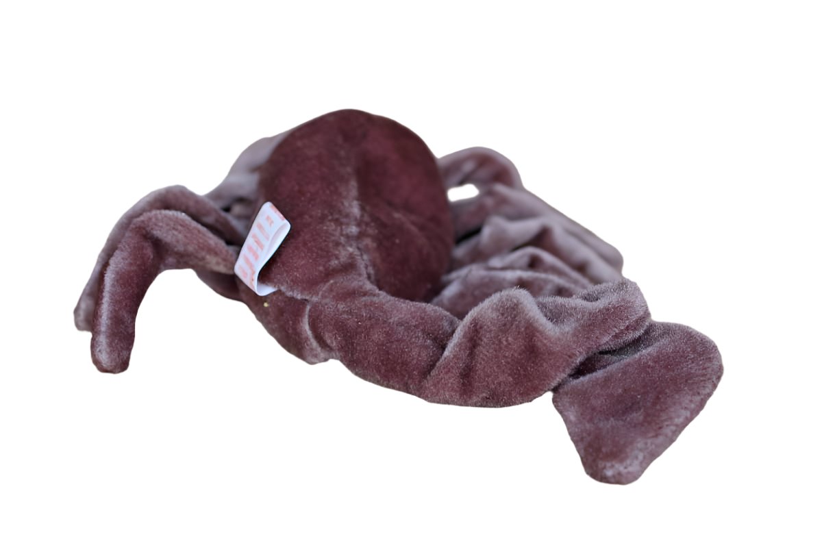 Stinger ty sales beanie baby value