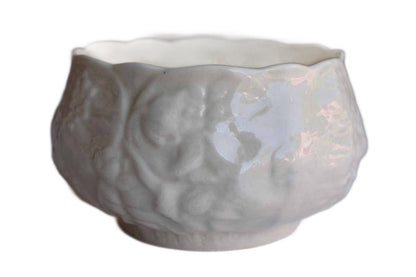 Belleek (Ireland) Irish Porcelain Bowl with Flower Pattern