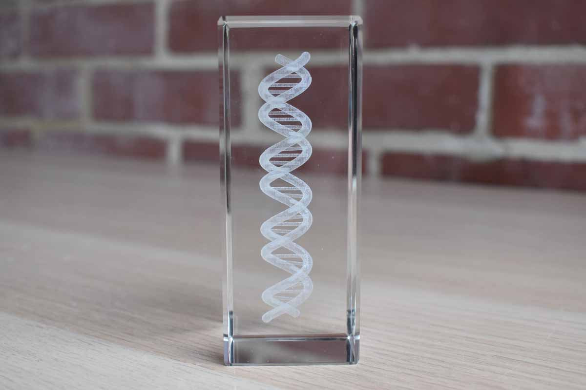 DNA Structure Set within Glass