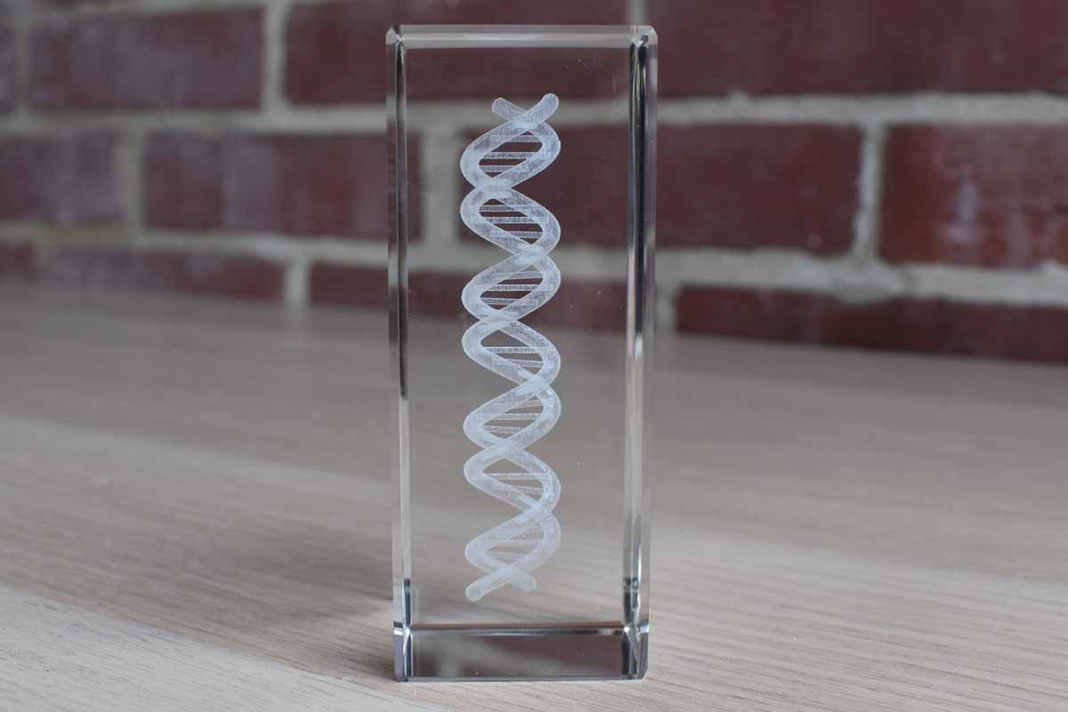 DNA Structure Set within Glass