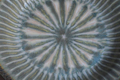 The Good Earth Pottery Large Handmade Stoneware Platter with Teal and Amber Glazes (Pickup Only)